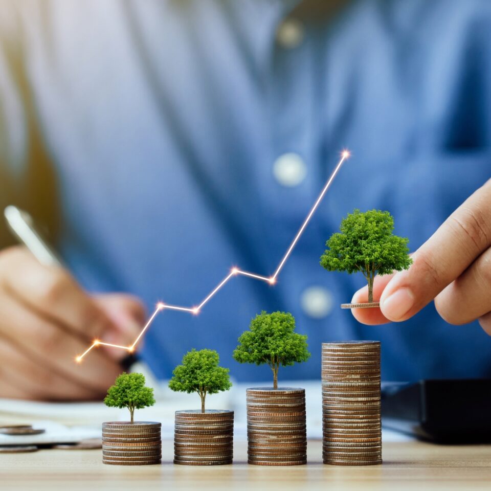 Cash Trsut Fund